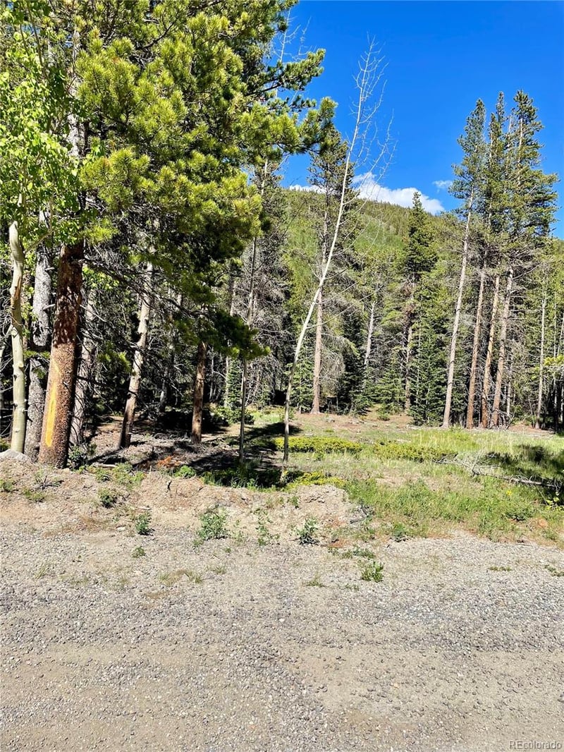 Silver Creek Rd, Idaho Springs, CO 80452