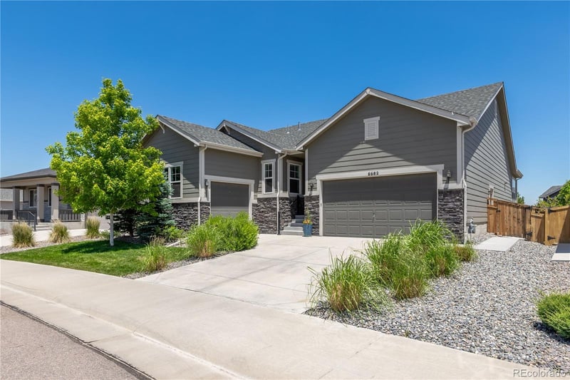 6682 Angelique Ave, Castle Rock, CO 80108