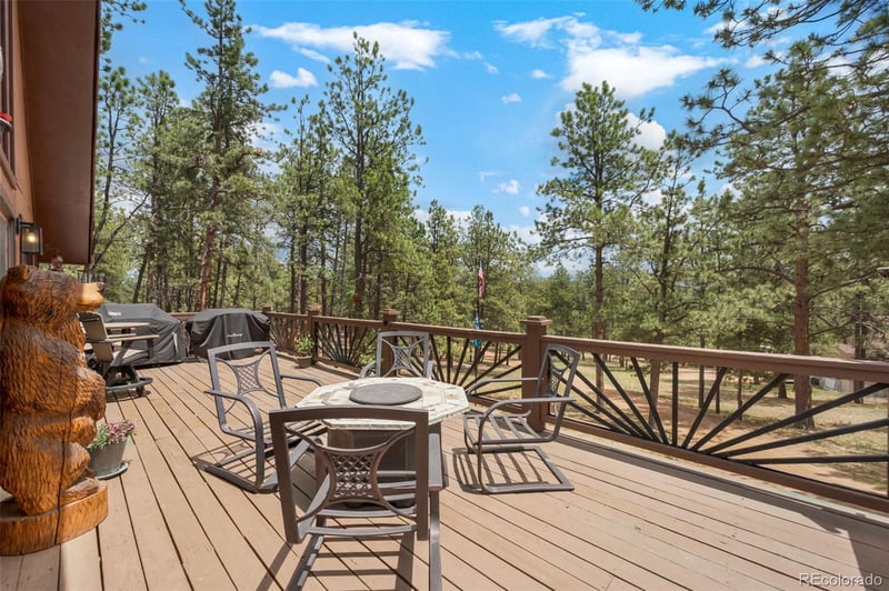 153 Arrowrock Cir, Florissant, CO 80816