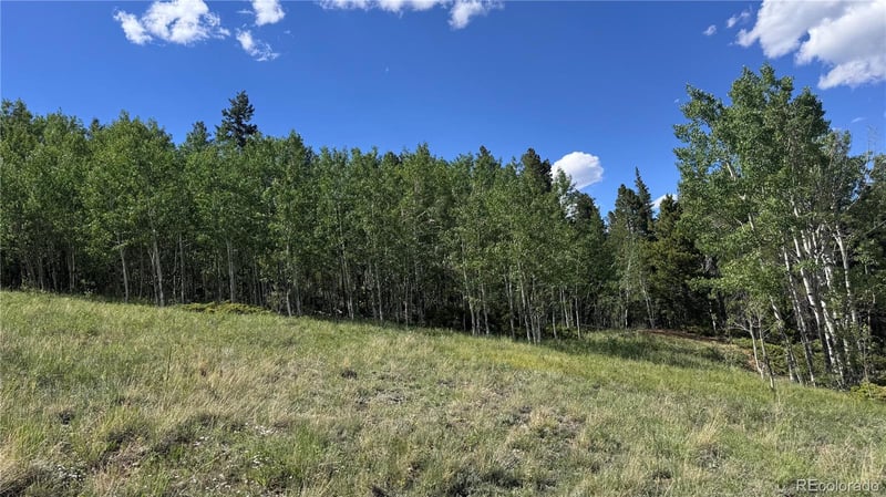002 Mac Rock Rd, Central City, CO 80427