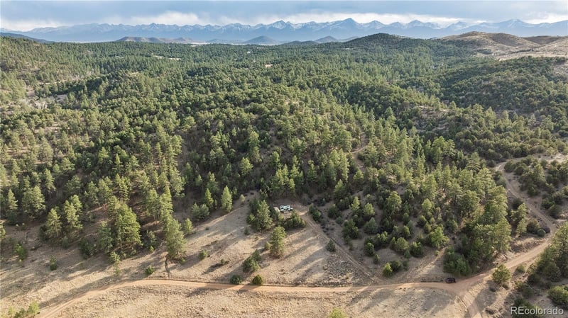 48 Alex Ct Lot 765, Cotopaxi, CO 81223