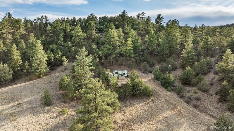 48 Alex Ct Lot 765, Cotopaxi, CO 81223