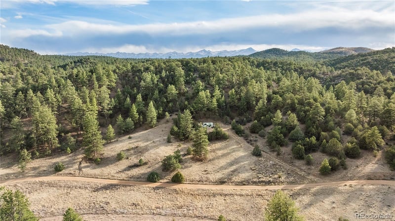 48 Alex Ct Lot 765, Cotopaxi, CO 81223