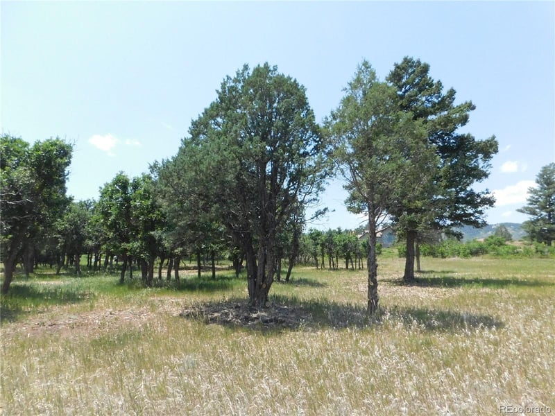 5980 Country Club Dr, Larkspur, CO 80118