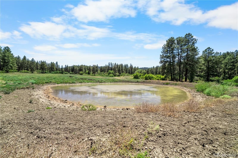 73 Parelli Institute Dr, Pagosa Springs, CO 81147