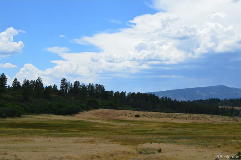 73 Parelli Institute Dr, Pagosa Springs, CO 81147