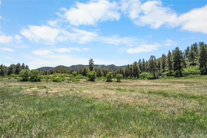 73 Parelli Institute Dr, Pagosa Springs, CO 81147