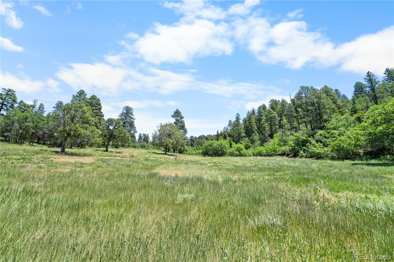 73 Parelli Institute Dr, Pagosa Springs, CO 81147