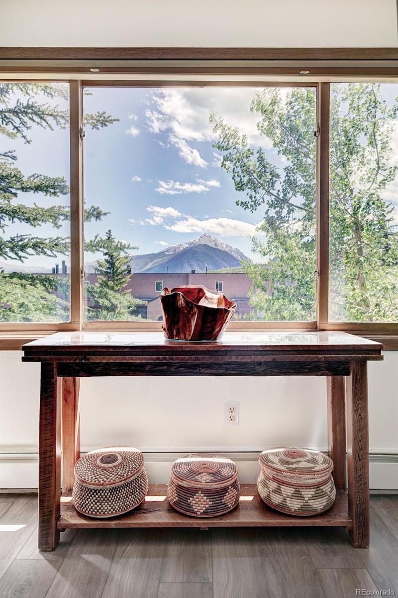 95600 Ryan Gulch Rd #95613, Silverthorne, CO 80498