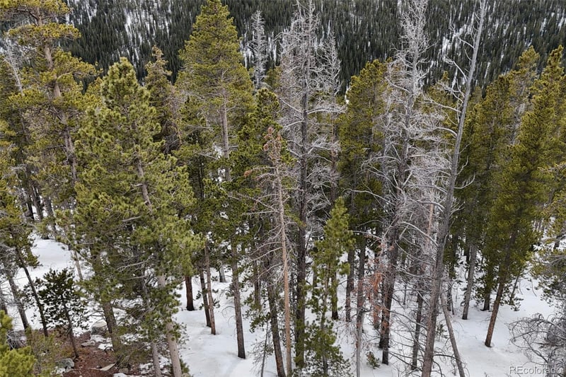 156 Vista Rd Lot 38, Idaho Springs, CO 80452