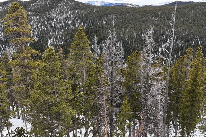 156 Vista Rd Lot 38, Idaho Springs, CO 80452