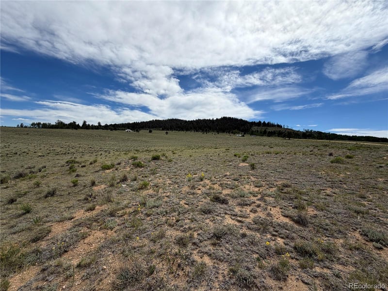 776 Commanche Trl, Hartsel, CO 80449