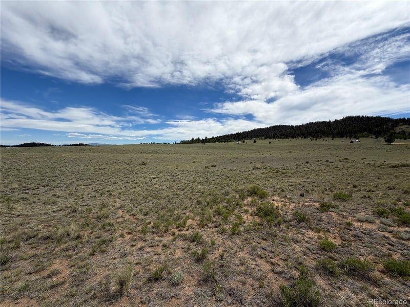 776 Commanche Trl, Hartsel, CO 80449