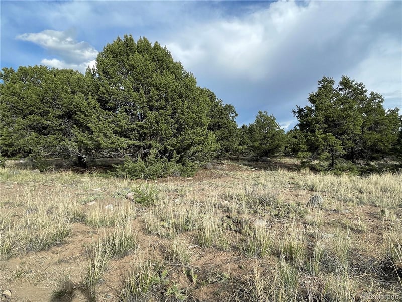 3383 Genial Way, Crestone, CO 81131