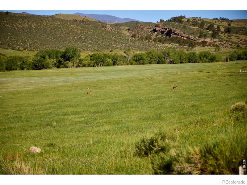 10339 Buckhorn Ridge Way, Loveland, CO 80538