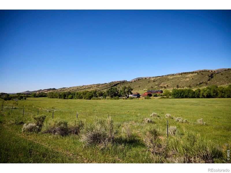 10231 Buckhorn Ridge Way, Loveland, CO 80538
