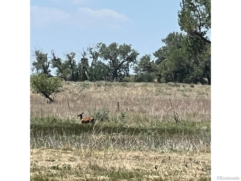 26247 County Road 2, Orchard, CO 80649