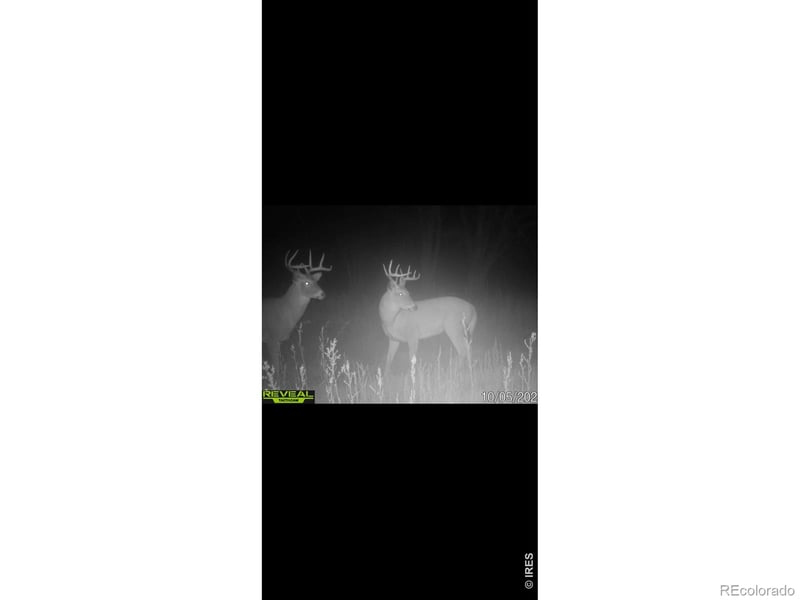 26247 County Road 2, Orchard, CO 80649