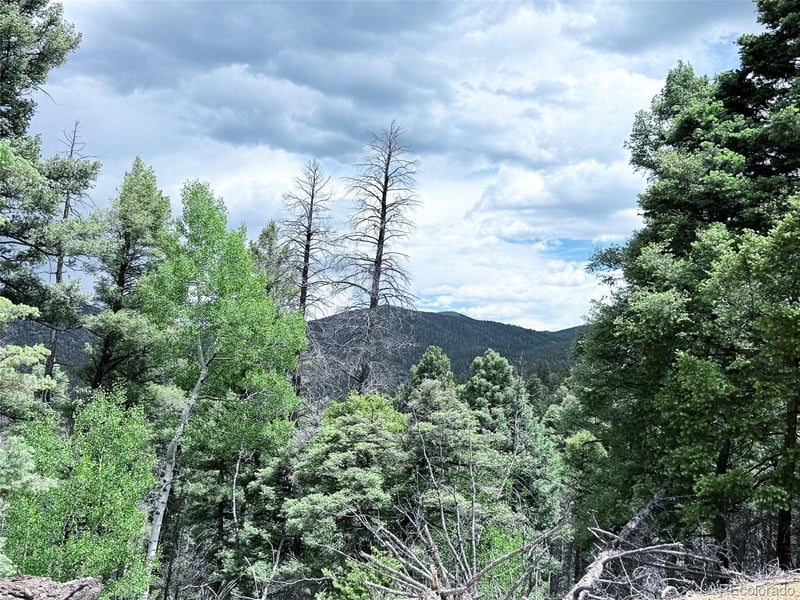 6031 Bruce Rd Lot 6031, Fort Garland, CO 81133