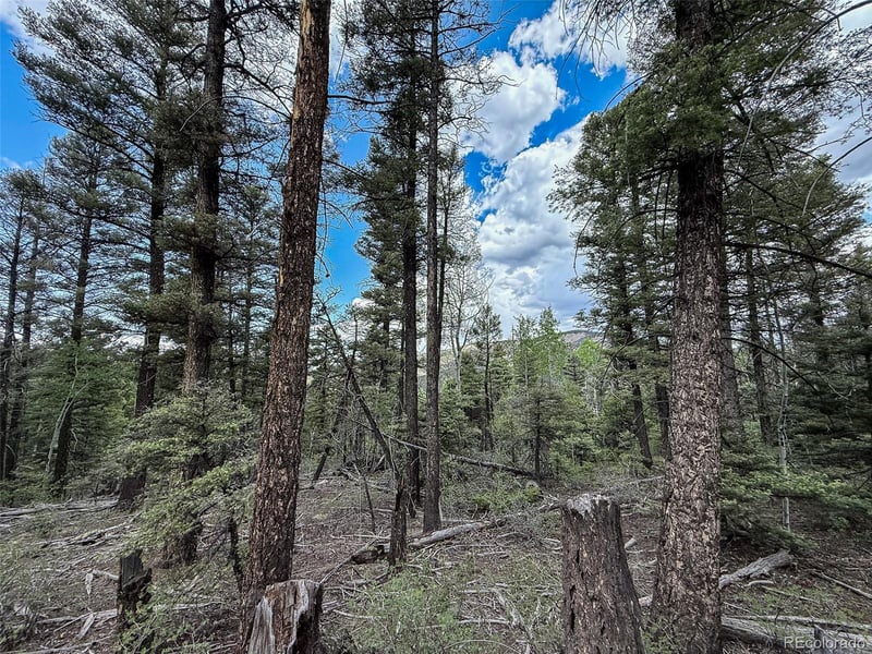 6031 Bruce Rd Lot 6031, Fort Garland, CO 81133