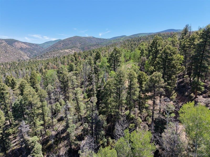 6031 Bruce Rd Lot 6031, Fort Garland, CO 81133