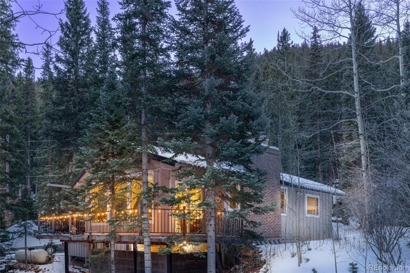 14 Moss , Dumont, CO 80436
