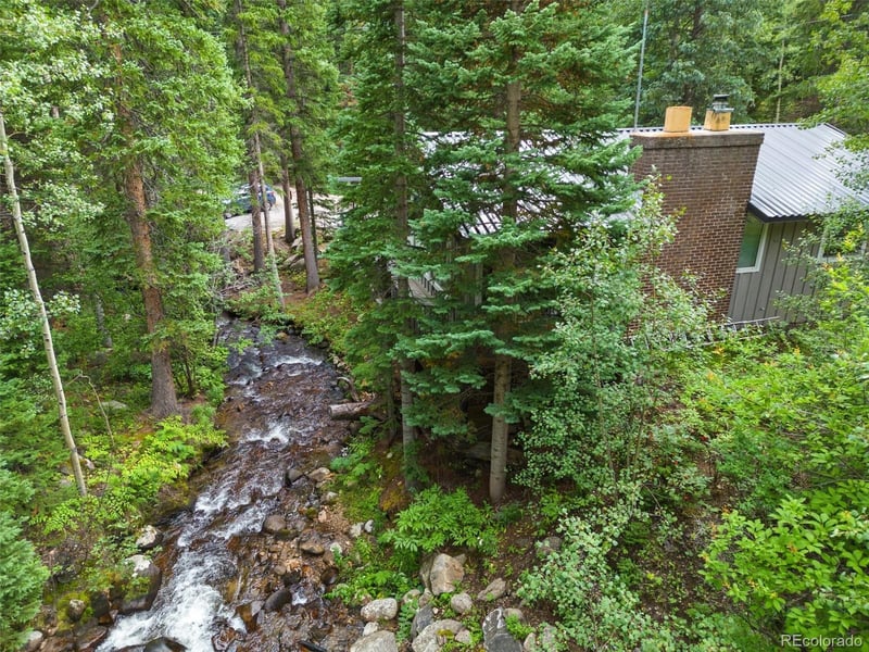14 Moss , Dumont, CO 80436