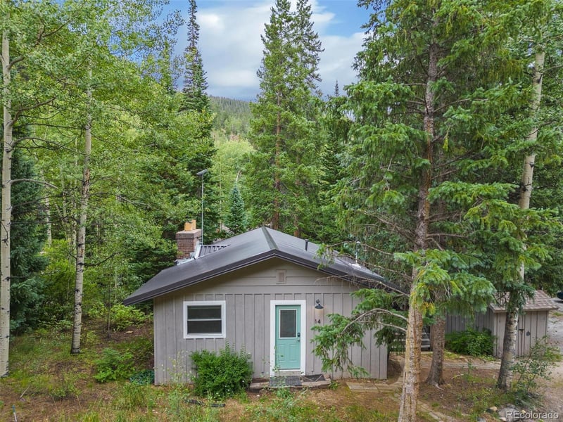 14 Moss , Dumont, CO 80436