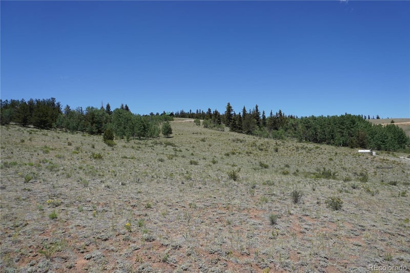 620 Arland Rd, Como, CO 80456