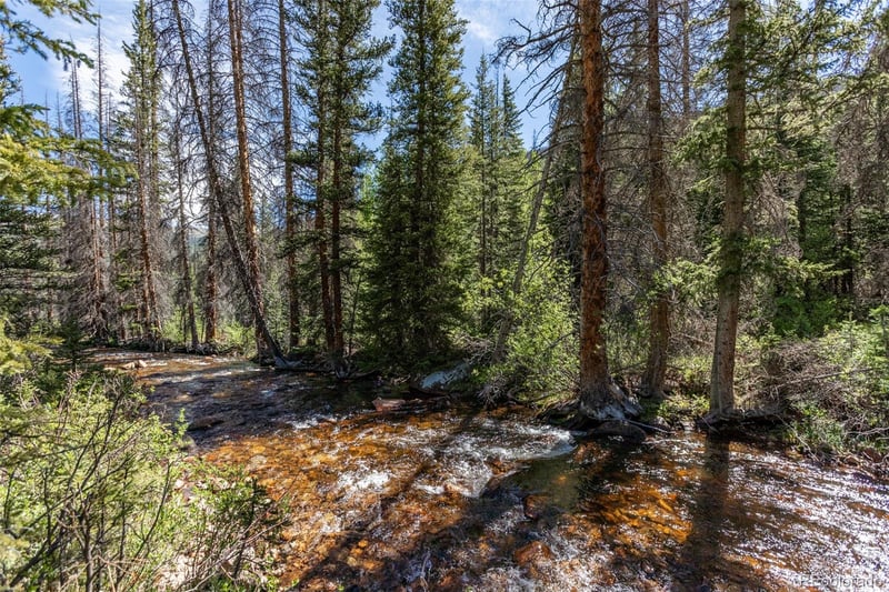 18990 Cr 294 , Nathrop, CO 81236