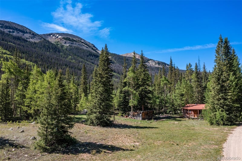 18990 Cr 294 , Nathrop, CO 81236