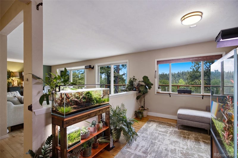 31280 Florence Rd, Conifer, CO 80433