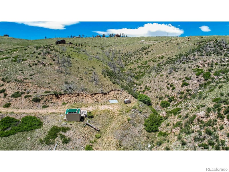173 Grays Peak Ct, Livermore, CO 80536