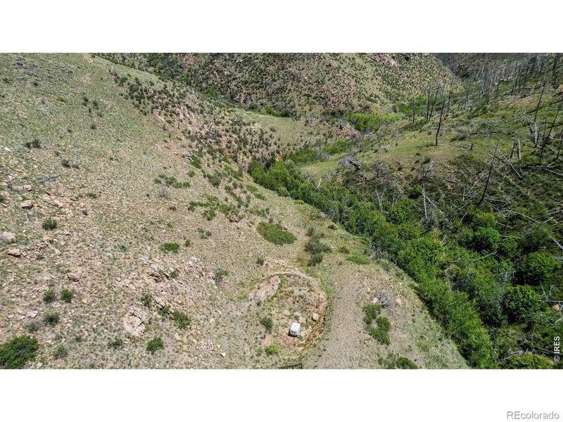 173 Grays Peak Ct, Livermore, CO 80536