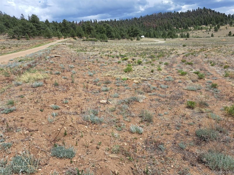 00 Cohonina Rd, Hartsel, CO 80449