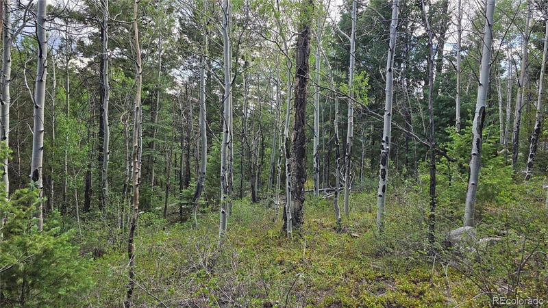 Lot 6474 Malcolm Rd Lot 6474, San Luis, CO 81152