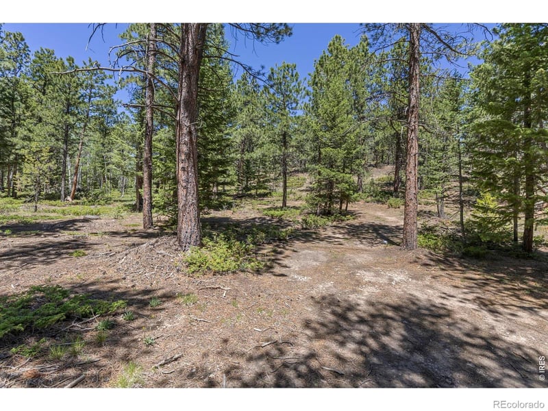 Magnolia Dr, Nederland, CO 80466