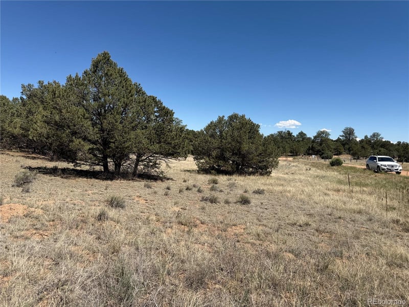 520 W View Rd, Cotopaxi, CO 81223