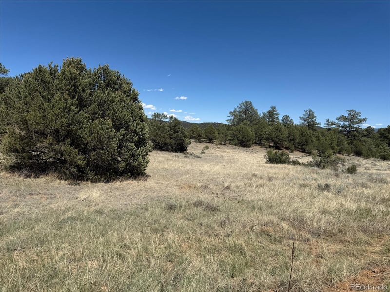 520 W View Rd, Cotopaxi, CO 81223