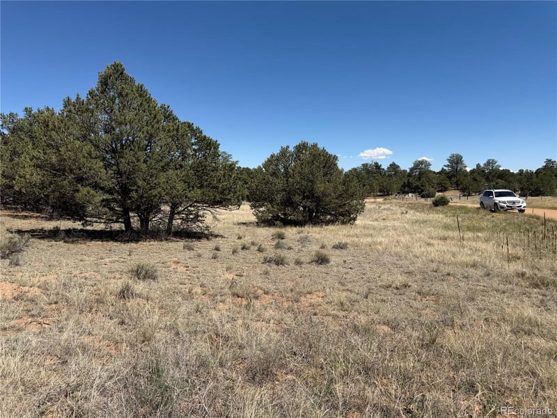 520 W View Rd, Cotopaxi, CO 81223