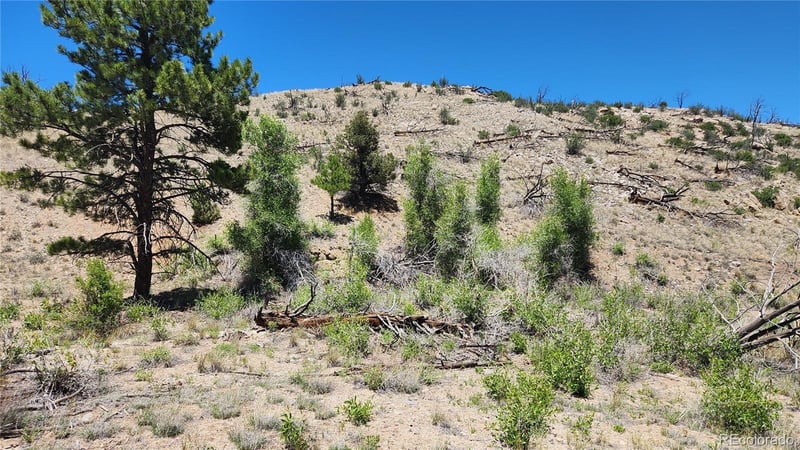 TBD L 35th Trl, Cotopaxi, CO 81223