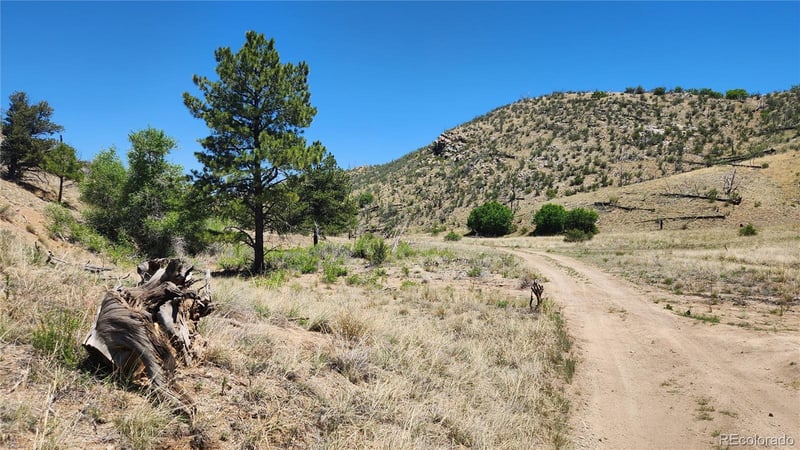TBD L 35th Trl, Cotopaxi, CO 81223