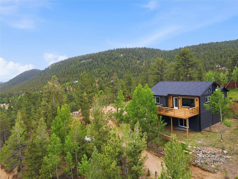 168 Wise Rd, Bailey, CO 80421