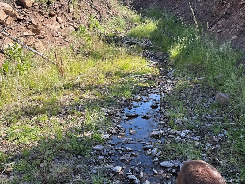 Lot 377 Powers Rd Lot 377, Fort Garland, CO 81133