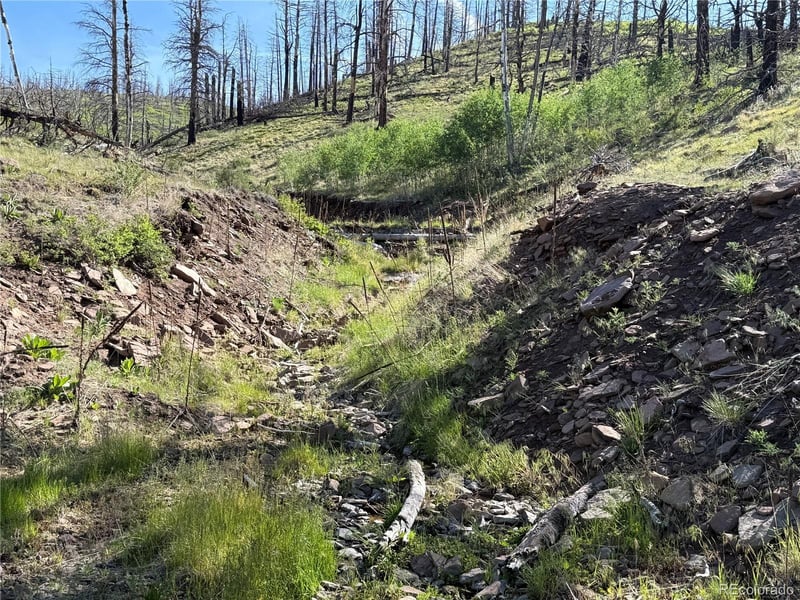 Lot 377 Powers Rd Lot 377, Fort Garland, CO 81133