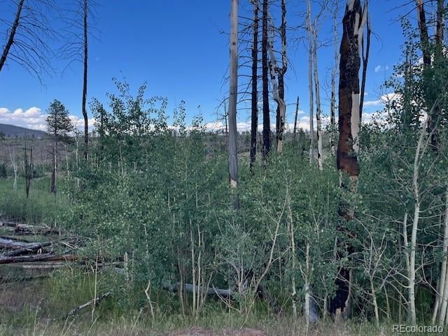 968 Hunington Ln, Fort Garland, CO 81133