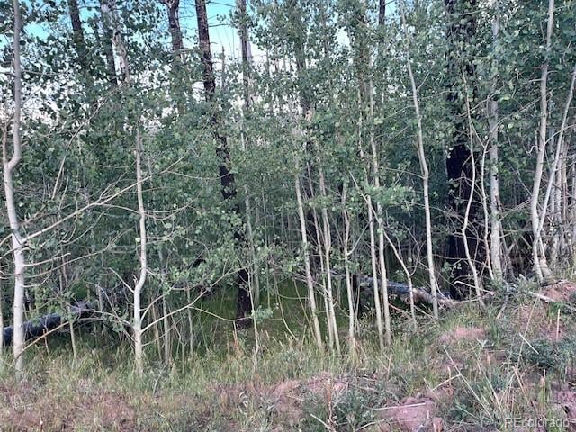 968 Hunington Ln, Fort Garland, CO 81133