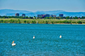 2906 S Parker Ct, Aurora, CO 80014