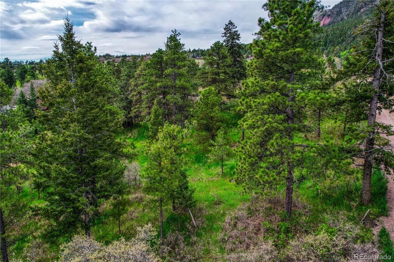Buena Vista Ave, Palmer Lake, CO 80133