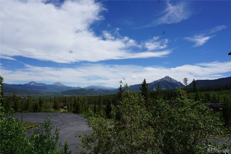 91300 Ryan Gulch Rd #91310, Silverthorne, CO 80498